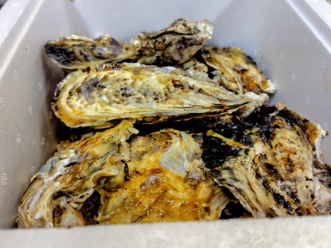 【今が旬！身入り◎】京丹後・久美浜産　殻付き牡蠣［加熱用］　2kg(20~30個前後）