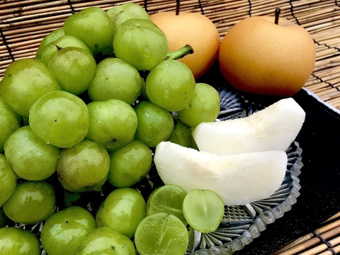 ✨厳選✨熊本県産あきづき梨2玉(約800g)と種なし皮ごと食べられるぶどう瀬戸ジャイアンツ(約1kg)セット