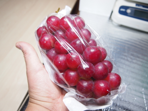 柑橘のような爽やかさ★希少品種コトピー 約800g（2～3房）※信州の環境にやさしい農産物50％節減（長野県認証）2023