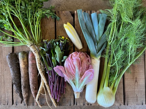 農薬・化学肥料不使用！西洋野菜とカラフル野菜セット！！