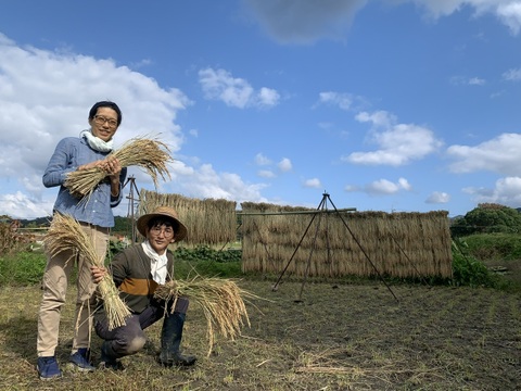 奥出雲産自然栽培天王寺かぶ(1kg)