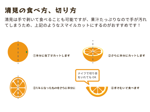 清見｜春先まで樹上完熟させた濃厚な味わい！みかんとオレンジのかけ合わせで生まれた和歌山県海南市下津町産の和製オレンジ（ご家庭用4kg）