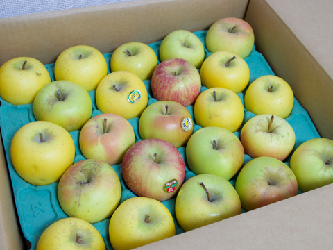 【お買い得】小玉りんご詰め合わせ（家庭用5kg・20～25玉）