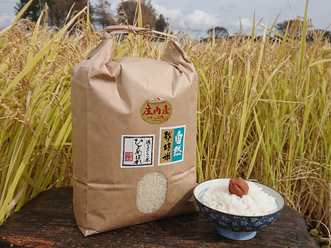 【上白精米 | 10kg】米の旨味たっぷり 自然栽培米 ひとめぼれ