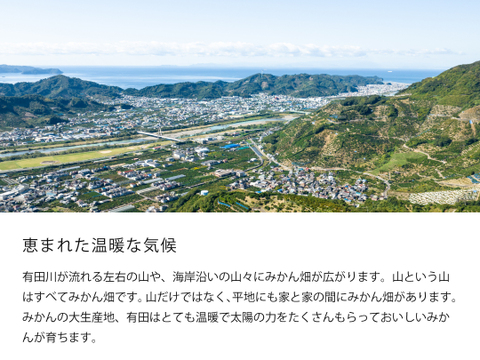 【有機JAS認証付】有田みかんミックスサイズ2.5kg（2S～3Lサイズ）家庭用（訳あり品）和歌山 311-yk2h
