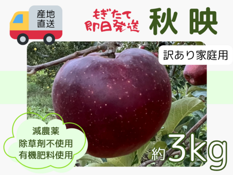 もぎたて即日発送 りんご 秋映 訳あり家庭用 3kg 長野県産 信州りんご発祥の地 産地直送 除草剤不使用 人にやさしく環境にもやさしい