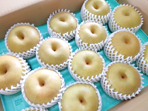 果汁溢れる優しい甘さの幸水梨  約5kg【夏ギフト】