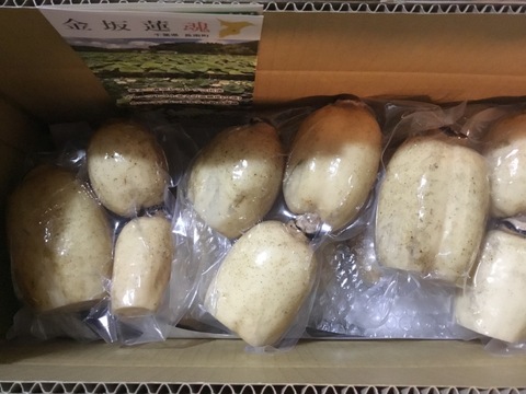 自然栽培れんこん 真空パック400g×７袋【４月末頃まで】