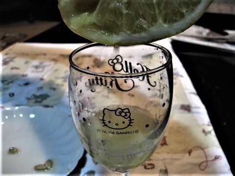 伊豆の朝採りグレープフルーツホワイト 農薬 肥料 除草剤 全て不使用