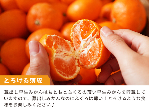 蔵出しみかん早生5kg｜和歌山県海南市下津町の特産品、蔵出しみかんの希少な早生品種