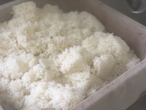 お買い得「極上大正餅」切り餅　460ｇ×10袋