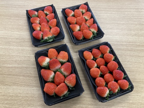 香り豊か！有機いちご「あまおとめ」1kg