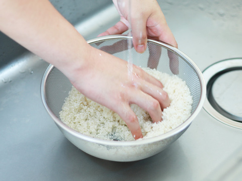 【令和7年新米】新潟県保内産幻のコシヒカリ 4.8kg