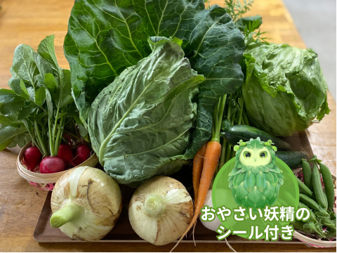 【食育やさいBOX】4月ののびのび野菜セット