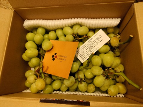 【特別栽培相当長野県認証】訳あり完熟シャインマスカット2.5kg規格外※長野県認証/特別栽培同基準（信州の環境にやさしい農産物認証50）