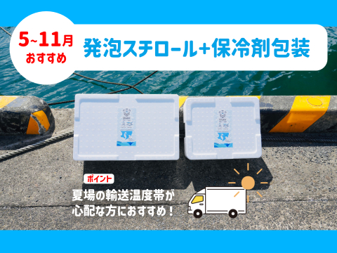 下処理⇒即日発送！ロコフィッシュ鮮魚ボックス4~5kg【発泡スチロール箱】