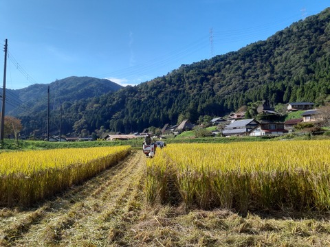農薬不使用のグルテンフリー
あんこサンド【20個セット】