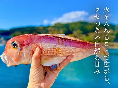 【家庭料理に】ふっくらやさしい甘みの甘鯛（３kg）