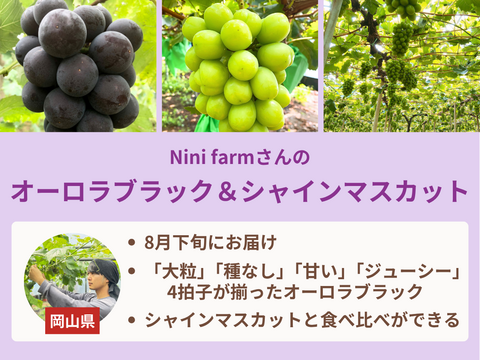 【限定200セット】ぶどう食べ比べ便第３弾※送料込※（食べチョク公式）