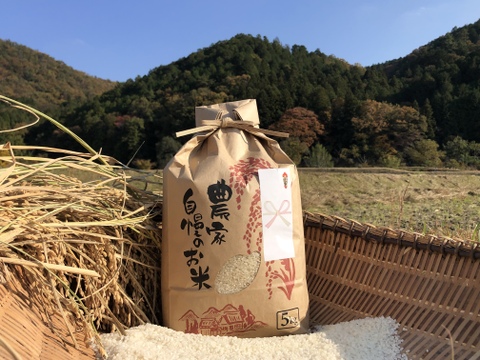 【令和4年産特別栽培米・白米5kg】
超大粒“米王”‼️甘くてモチモチ、香りの良い能勢天神米。