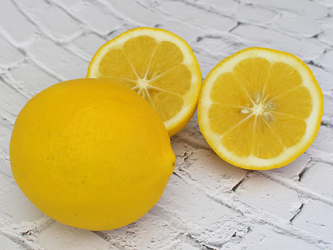 訳あり レモン 4kg【栽培期間中農薬不使用】（防腐剤・ワックス不使用）静岡県磐田市産