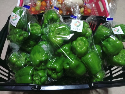 八ヶ岳高原の恵み満載！新鮮野菜5種詰め合わせセット