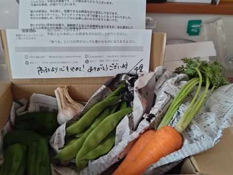 朝収穫！旬のお野菜・お試しミニセット（５ー６品目）
