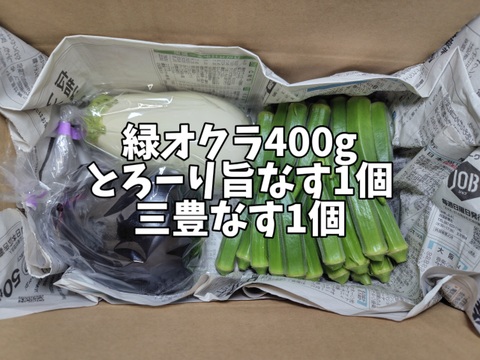 香川の伝統野菜『三豊なす』入り！とろける茄子＆オクラのセット