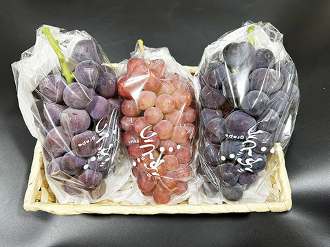 【ぶどう食べ比べ】2色おいしいぶどう詰め合わせ！ピオ/ドルチェ（約1.5kg、3～4房）