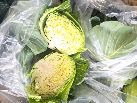 セール中！！自然栽培 大玉キャベツ 1玉：青森県産の野菜｜食べチョク