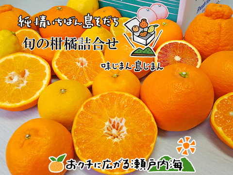 【柑橘ガチャ】旬の柑橘詰合せ 訳あり品 サイズ込 2kg 愛媛 中島産 【希望の島 島みかん】