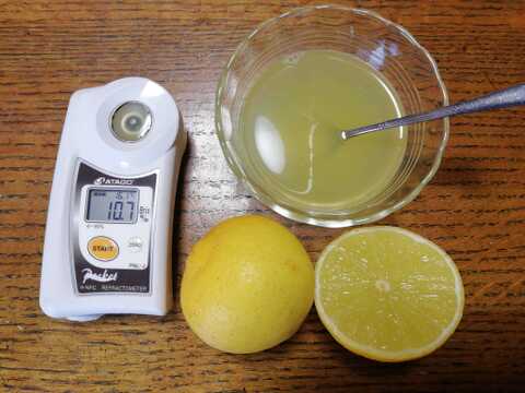 タヒチライム（完熟）１㎏【農薬化学肥料不使用】【あわせ買い可】【熨斗(のし)対応可】