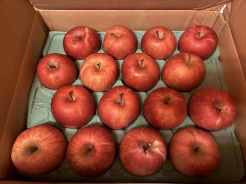 発送中🍎りんごグランプリ2025最高金賞1位🎊 サンふじ 10キロ箱 家庭用&訳あり品 ID00624 安曇野 リンゴ 幻 幻のリンゴ 予約 希少 旬 甘い 10キロ箱