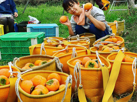 【今期最後】定番柿を極めた最高級の富有柿（3kg）