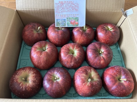 秋映　あきばえ  濃い味林檎　ご好評販売中　 訳あり　家庭専用　3キロコース　　 長野県ならでは第1弾(冷蔵貯蔵分）