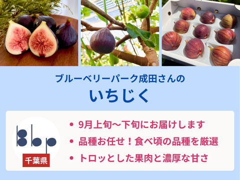 【販売終了】【限定100セット】夏の手しごと便　ブルーベリーといちじく（食べチョク公式）