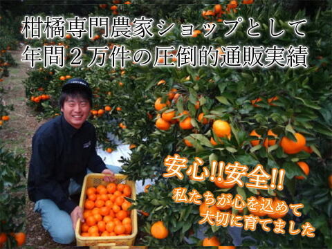 【福袋】甘くて濃厚な完熟みかんや希少柑橘の食べ比べ！12月下旬の年内発送！年末年始に家族でワイワイ♪♪人気４品種が楽しめる！「旬のこだわり柑橘食べ比べ福袋」家庭用　約3kg入【商品番号1102-3k】