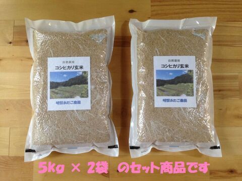自然栽培（農薬不使用、有機・化学肥料不使用）　コシヒカリ玄米10kg　令和4年　岐阜県産