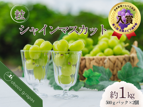 【粒売り】香り華やか贅沢『シャインマスカット』（２パック・合計約１kg）