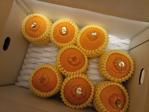 極上のプレミアム果実！過去最高糖度は１８度！プリッと果肉で食べ応え十分！樹上完熟させた濃厚な甘みの不知火（しらぬい）！当園自慢「甘熟デコ」　厳選プレミアム　レギュラー箱　約３ｋｇ【422】