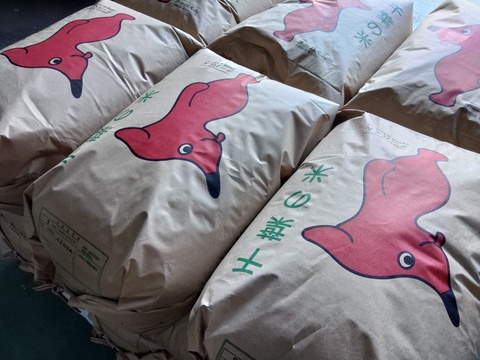 【令和7年新米】『コシヒカリ』　玄米30kg 千葉県産