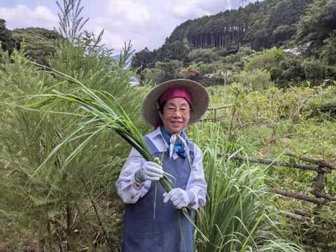 今年最後のレモングラス（ドライ）