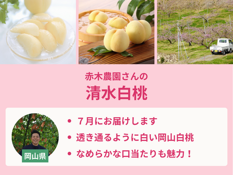 【限定300セット】桃食べ比べ便第１弾※送料込※（食べチョク公式）