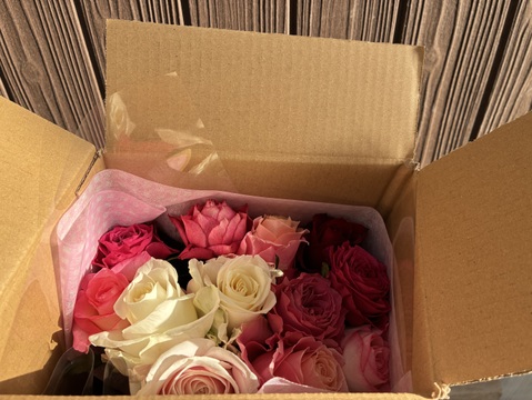 想いを伝える バラの花束（ピンク）【母の日ギフト】