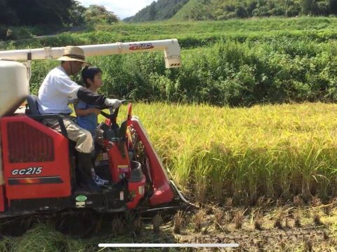 鳥取の清流育ち　令和7年産新米【星空舞】5kg｜冷蔵保存で鮮度抜群！