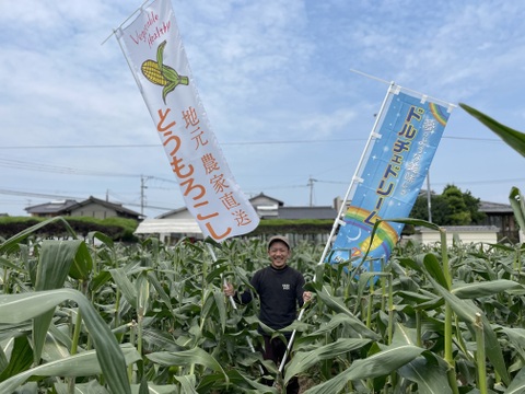極甘『ドルチェドリーム』4キロ