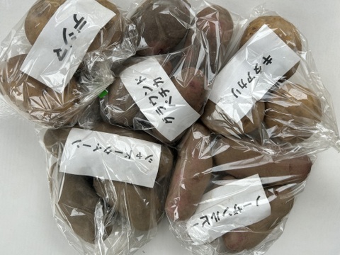 カラフル！いろいろ彩り じゃがいもセット(2kg)