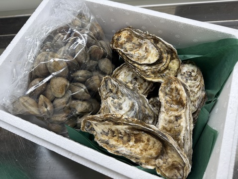 【ゲン担ぎ福袋】【福袋】ワイズユースの湿地の恵みセット①北海道根室市温根沼産カキ（2L：10個）・豆アサリ1キロ