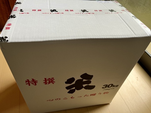 令和6年産】自然栽培「金のいぶき」玄米 20kg 備蓄用 真空