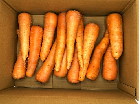 自然栽培で育った濃厚な味わいで昔ながらの人参らしい香りが特徴の「新黒田五寸人参」2㎏セット